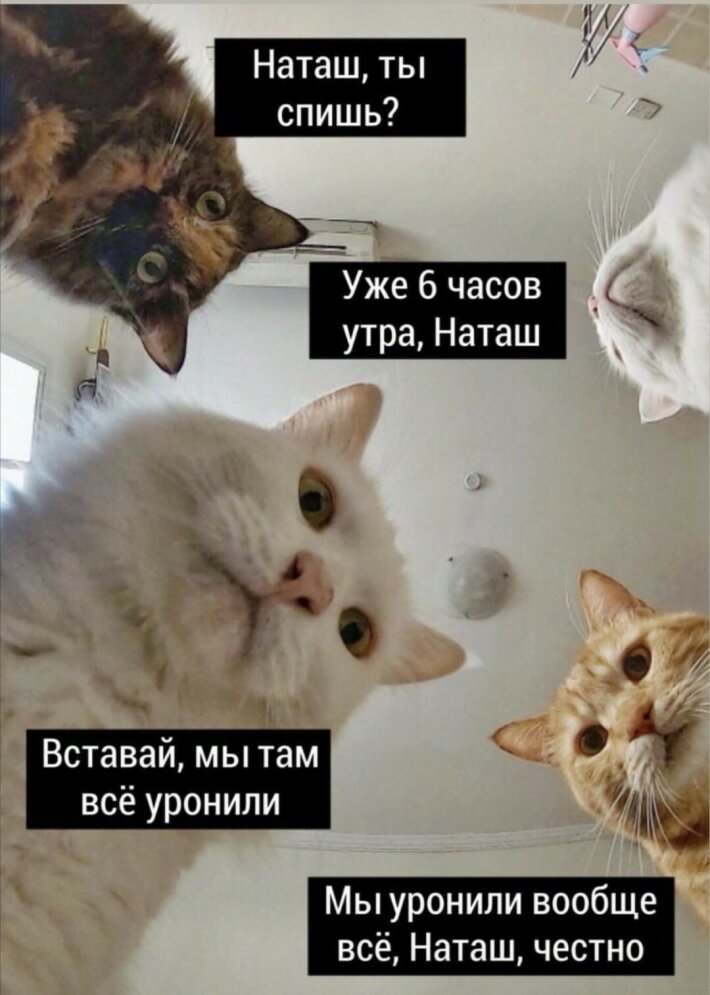 Источник фото: Prt Scr соцсетей