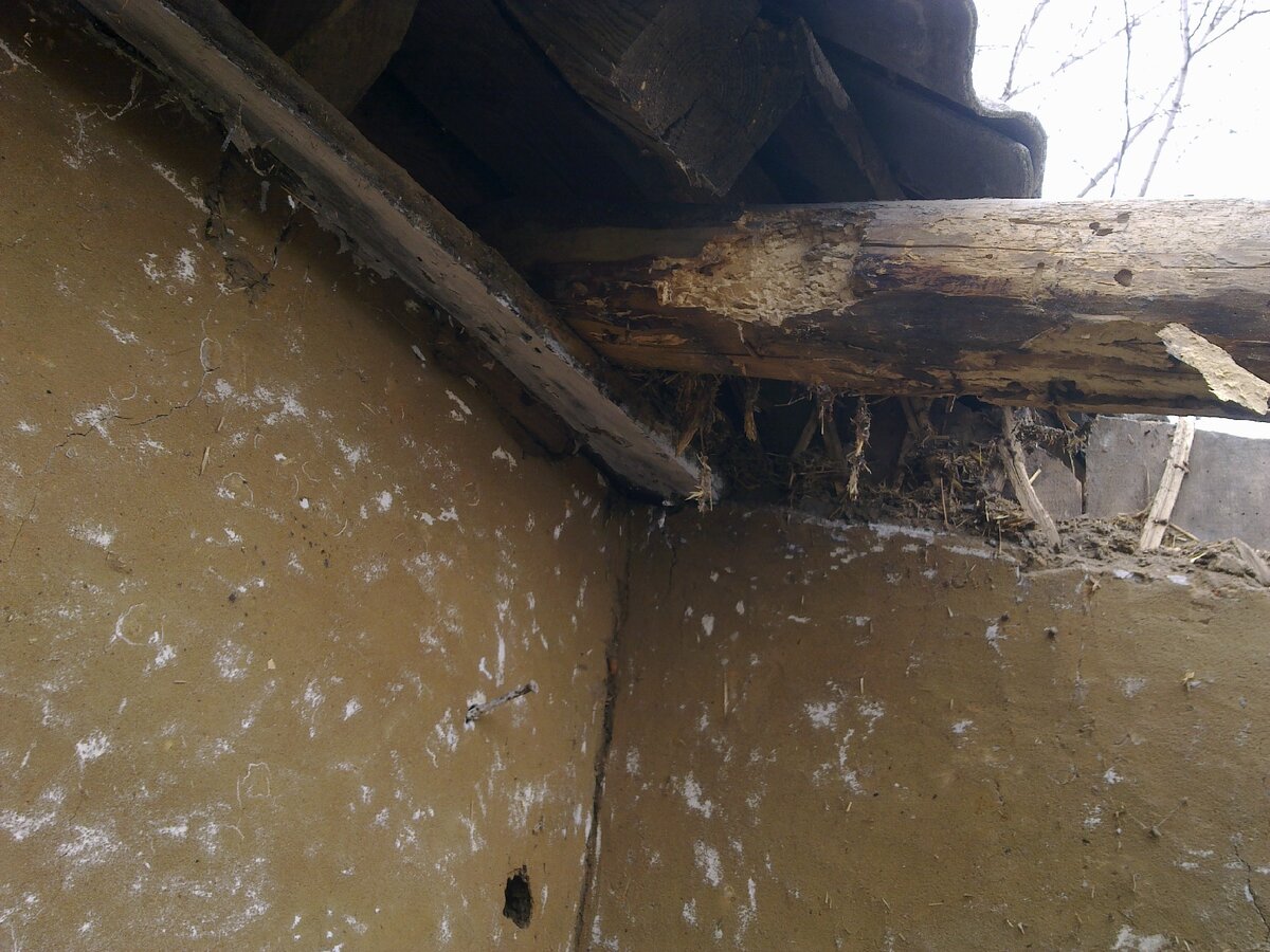 Проблемы обнаружили себя сами!!!