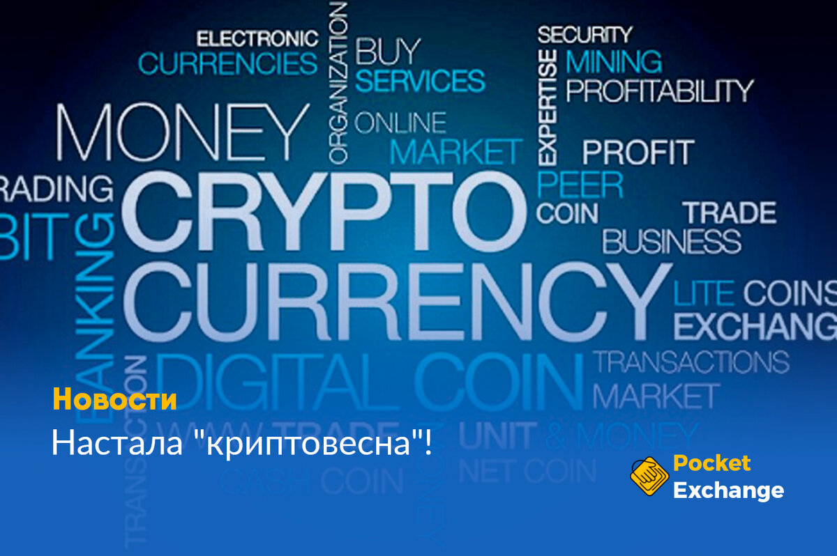 Фото с сайта pocket-exchange.com