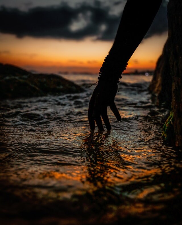 Фото с сайта Pixabay