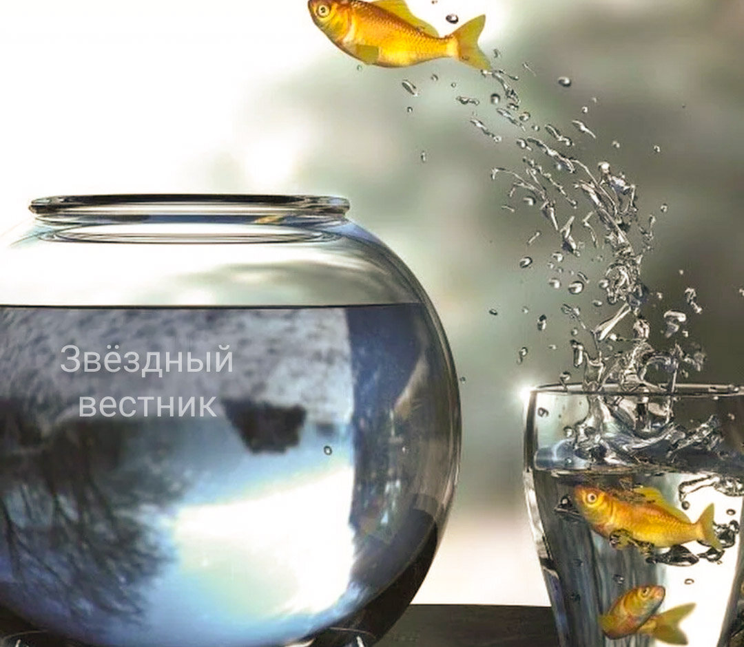 Всегда ищите выход из сложнейших ситуаций. 