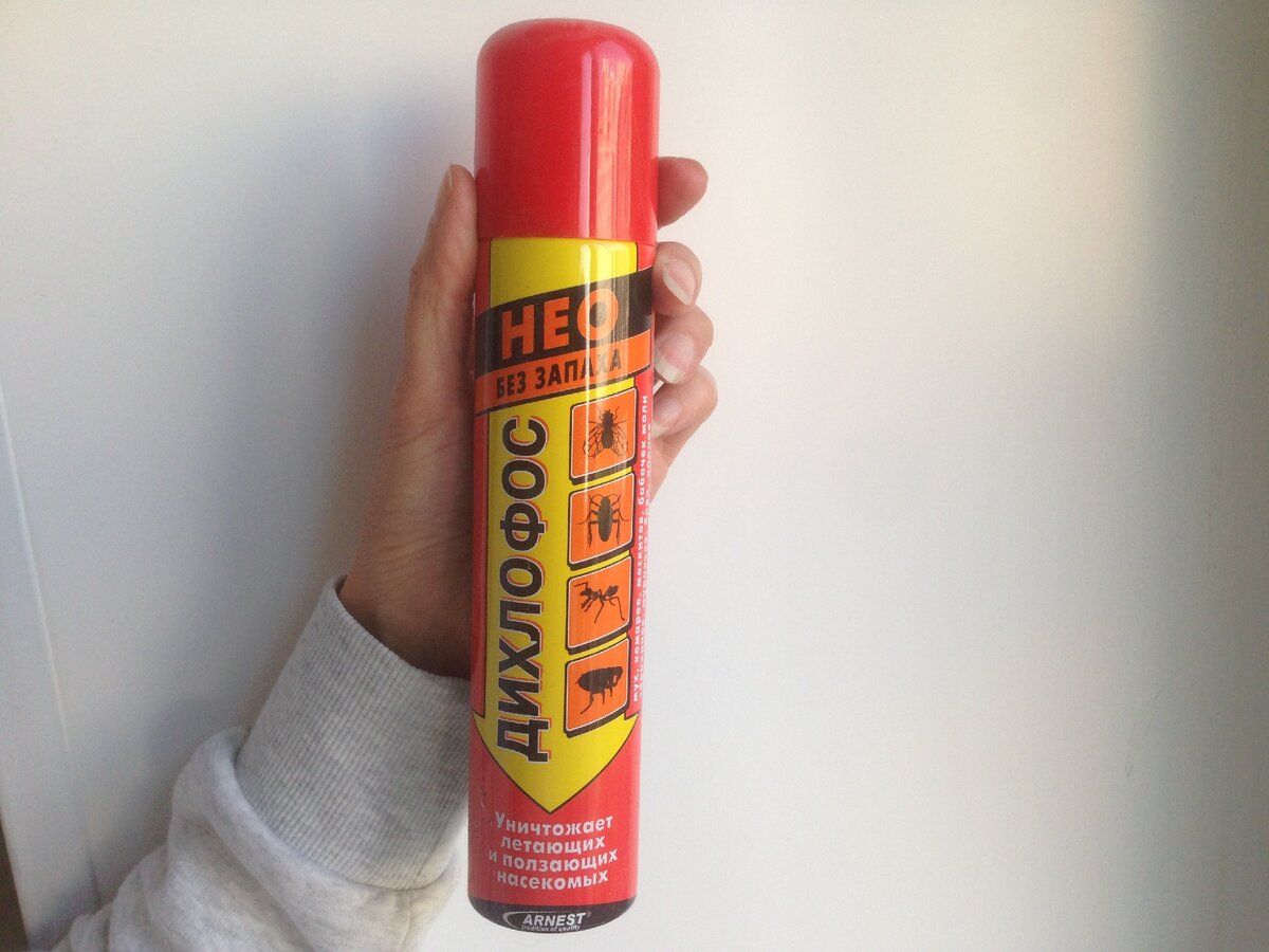 Дихлофос против насекомых