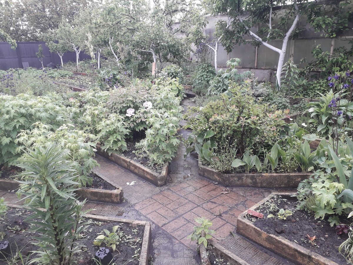 Весна 2020 (фото из личного архива)