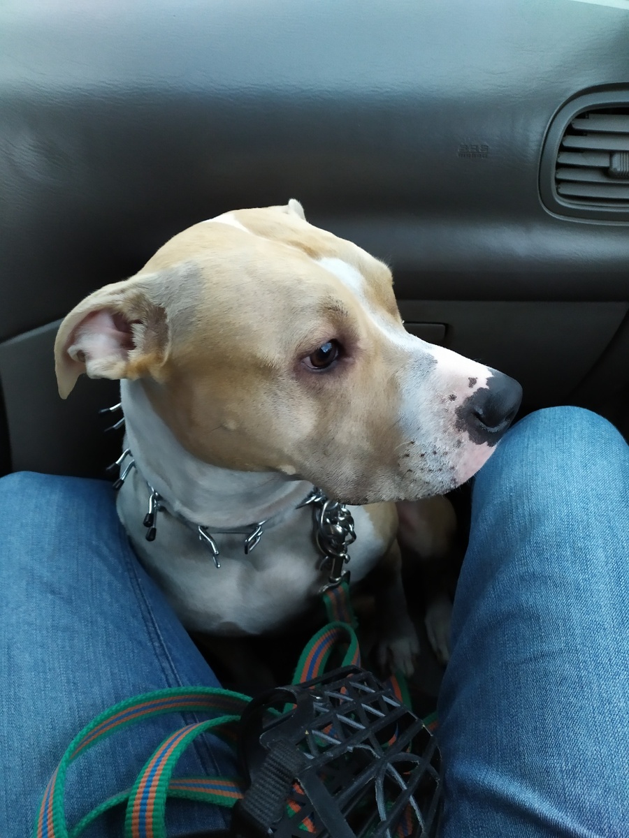 Теперь катаемся только так - в ногах у папы)