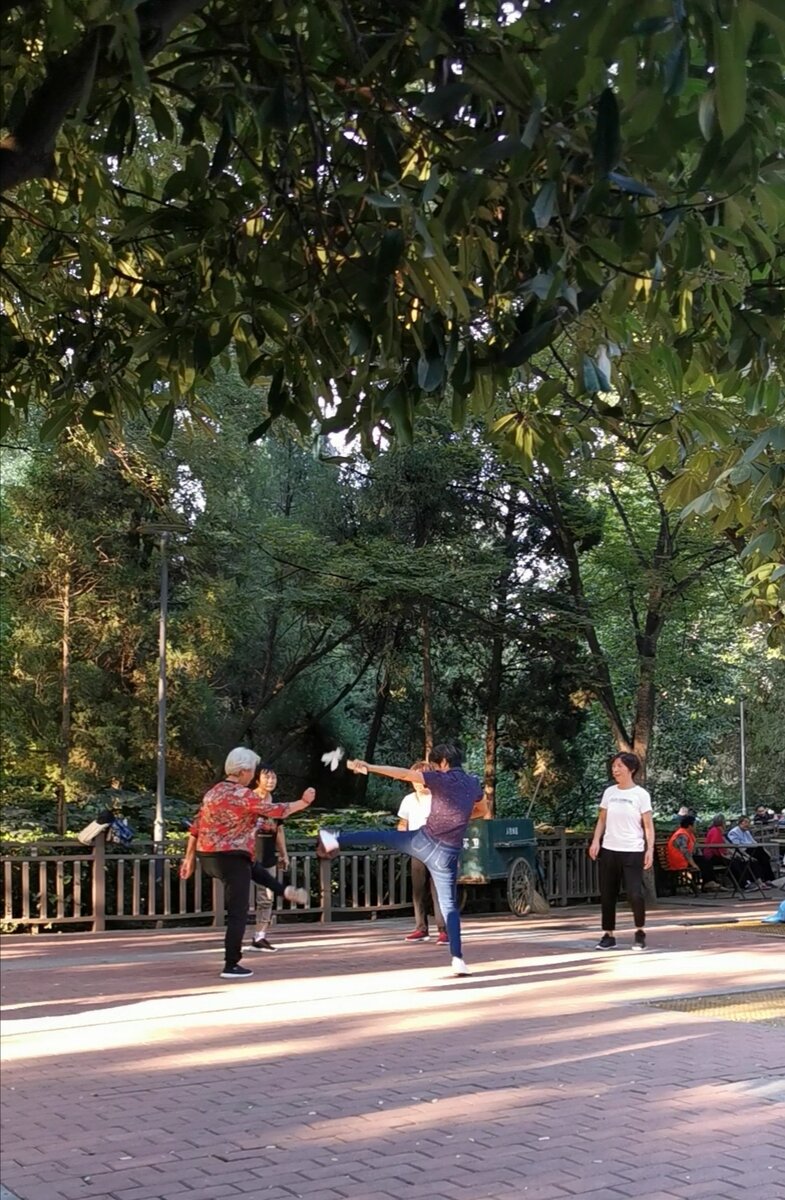 В конце статьи вы найдете видео из китайского парка: игра "сокс".