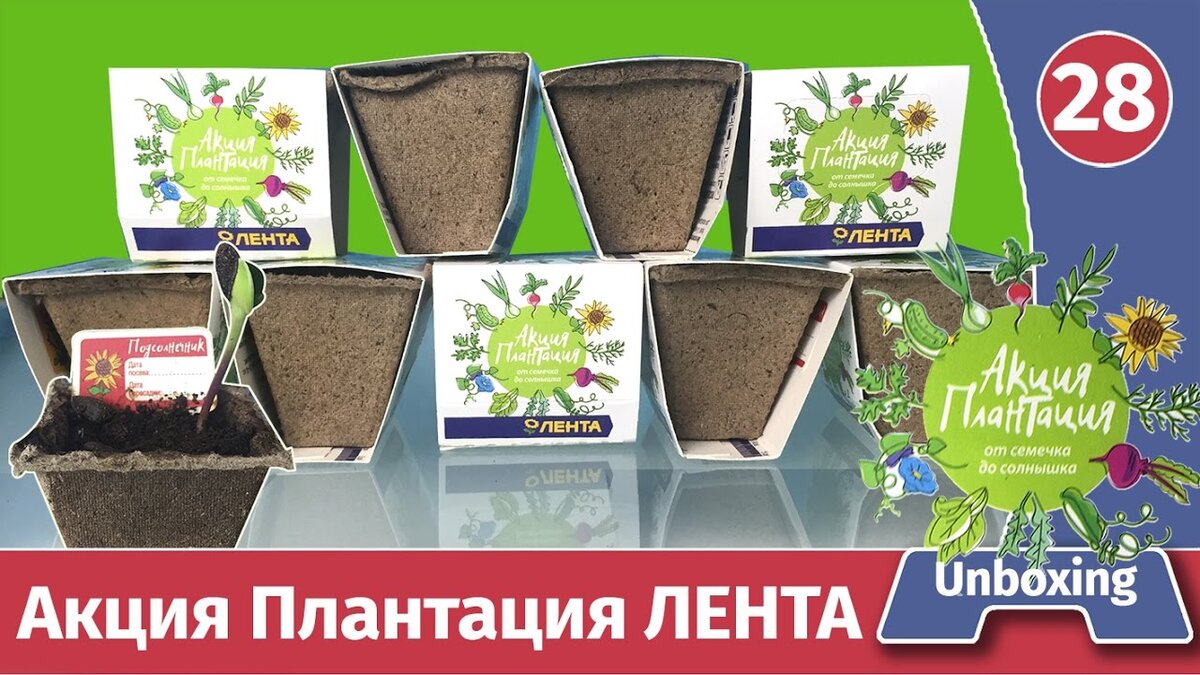 Позаимствовано с сервиса Яндекс Картинки