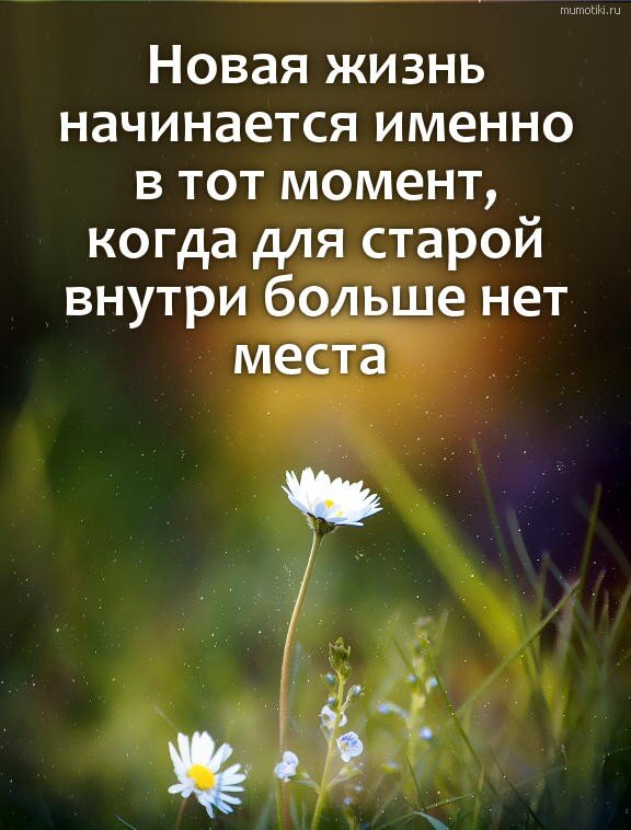 Фото взято из открытых источников. 