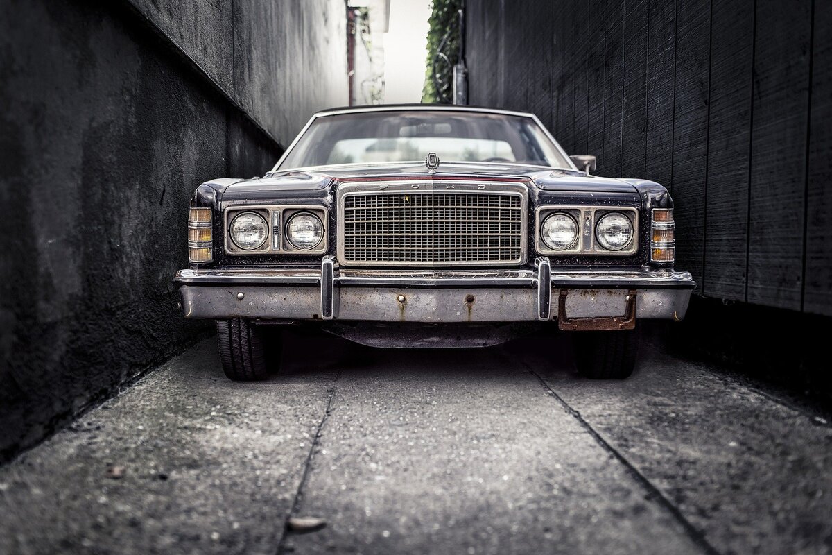 Image by Ryan McGuire from Pixabay
