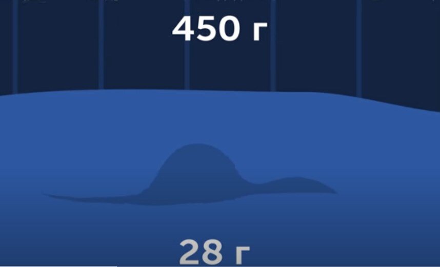 Скриншот с YouTube видео