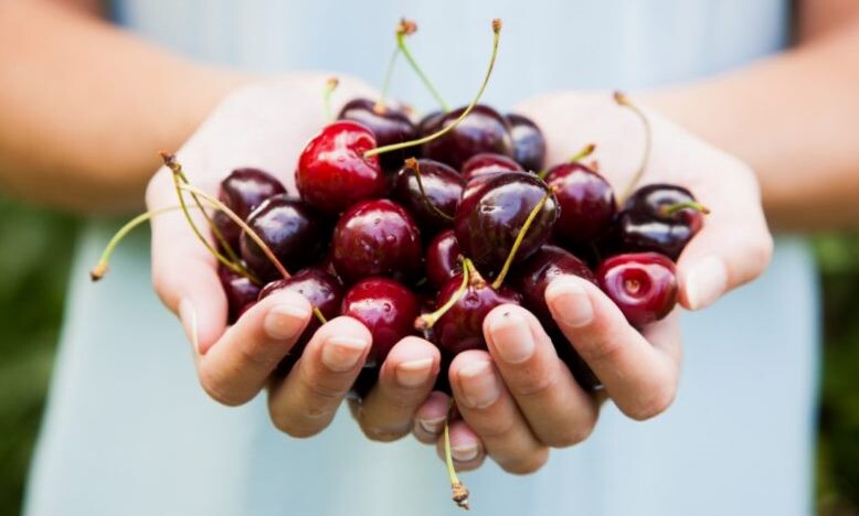 Фото для иллюстрации с Яндекс.картинки