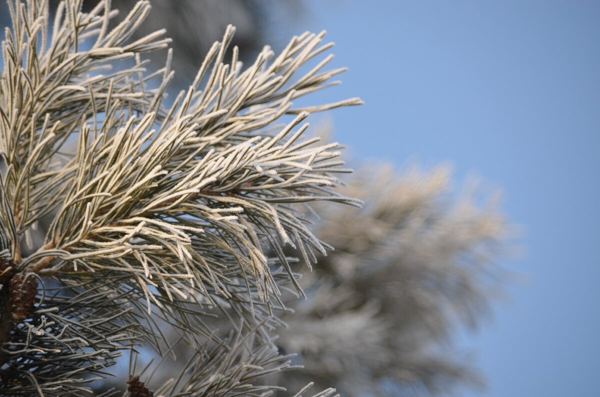 Радуюсь солнышку. Фото автора
