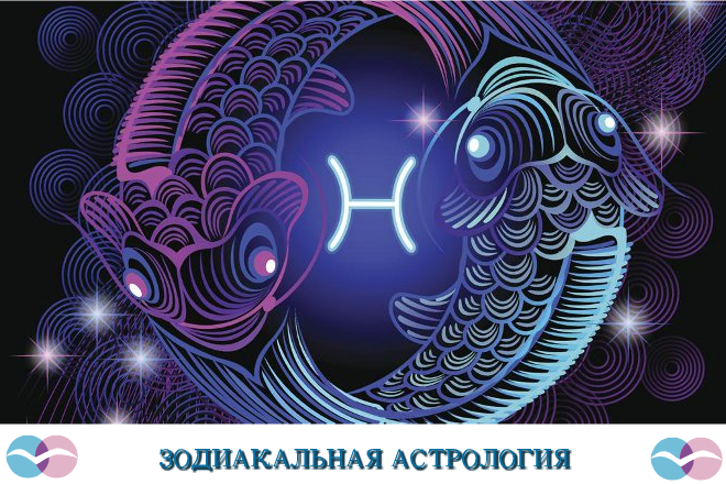 Фото из интернета.