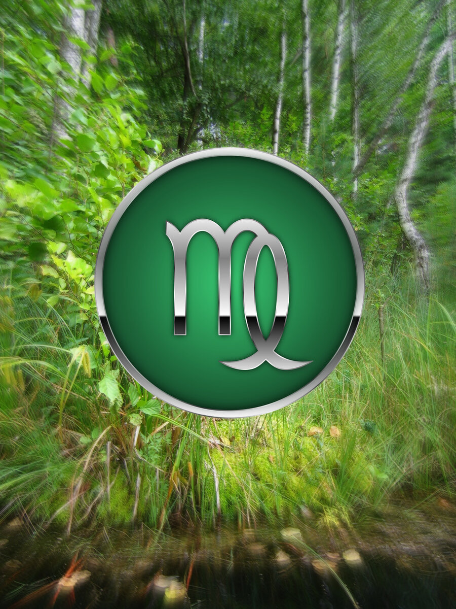 Последние летние деньки