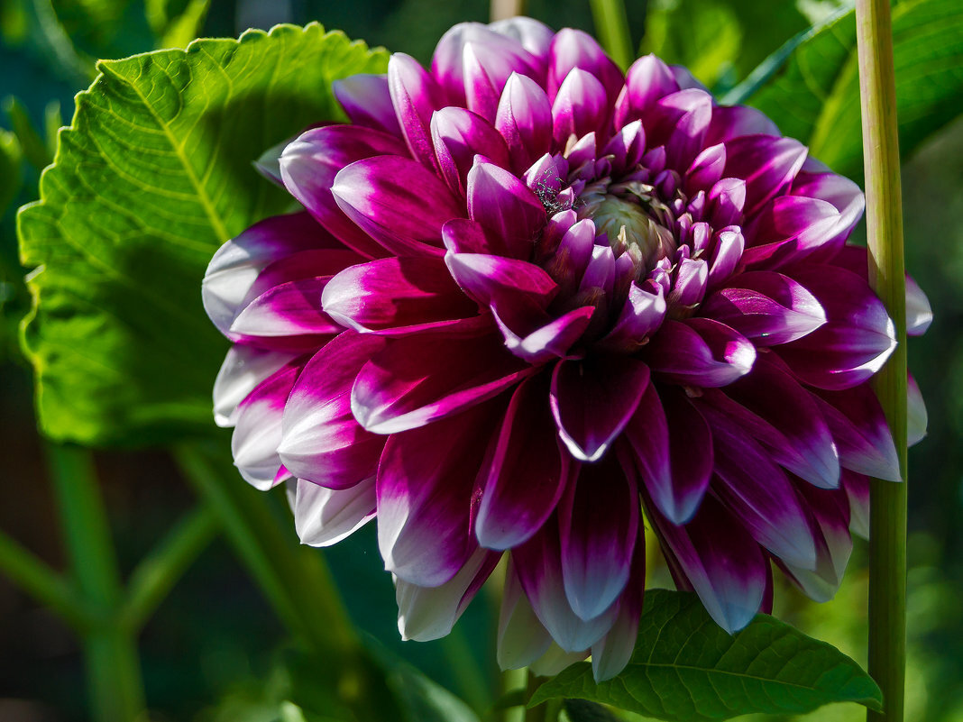 Источник фото: fotokto.ru