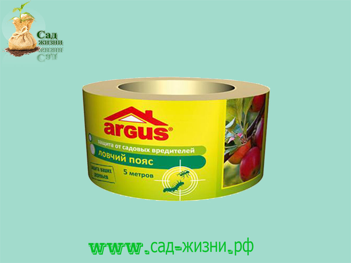 Как избавиться от лишней работы в саду и огороде