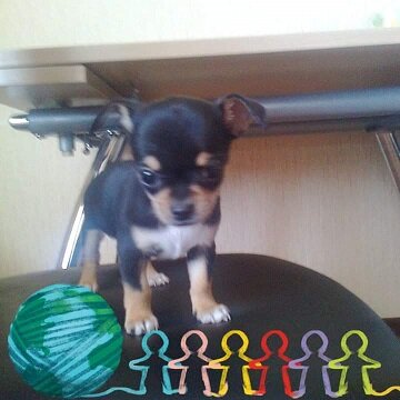 фото автора