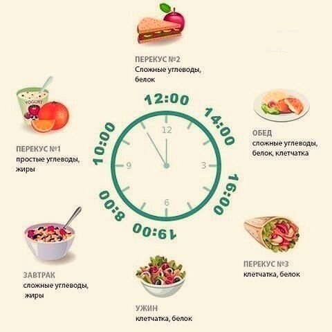 Распорядок должен быть не только в делах, но и  в том числе и в еде.