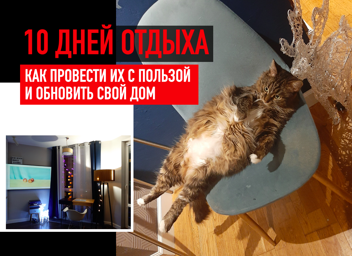 Не будь как кот: как за 10 праздничных дней обновить дом0