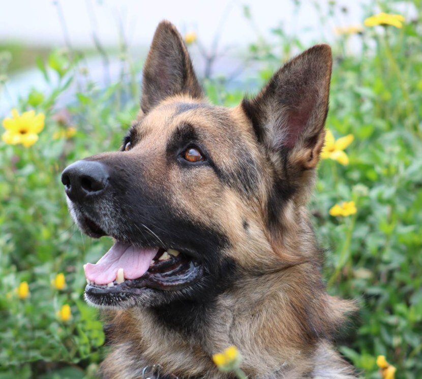 Фото из открытого доступа