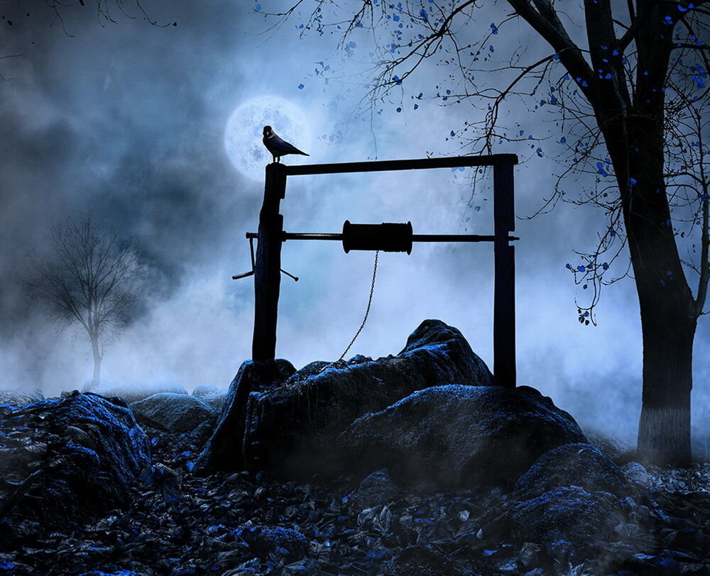 Изображение из интернета. 