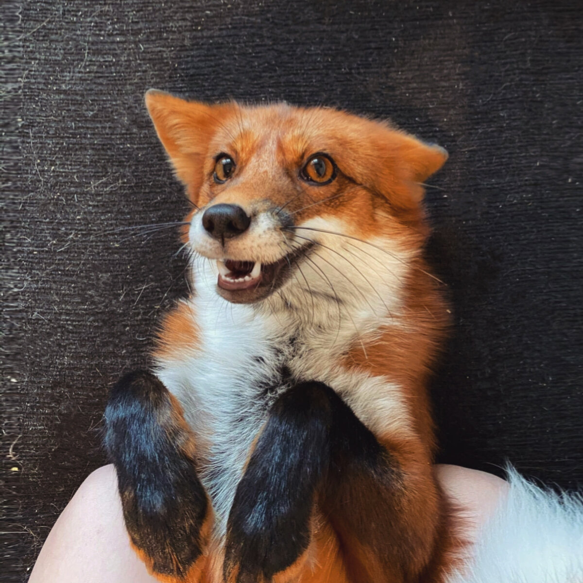 Когда накосячил!