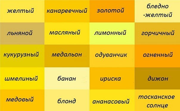 Фото из открытого источника