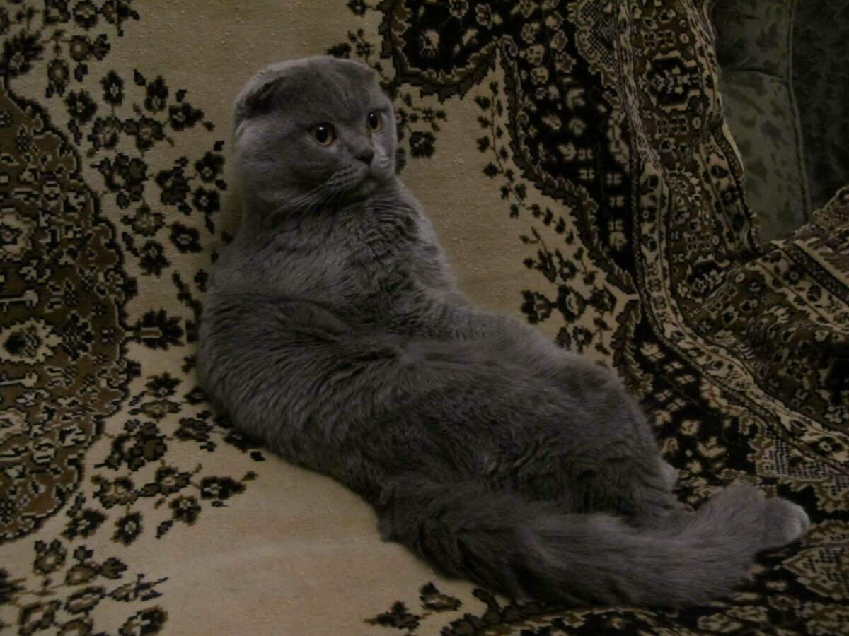 Кузя