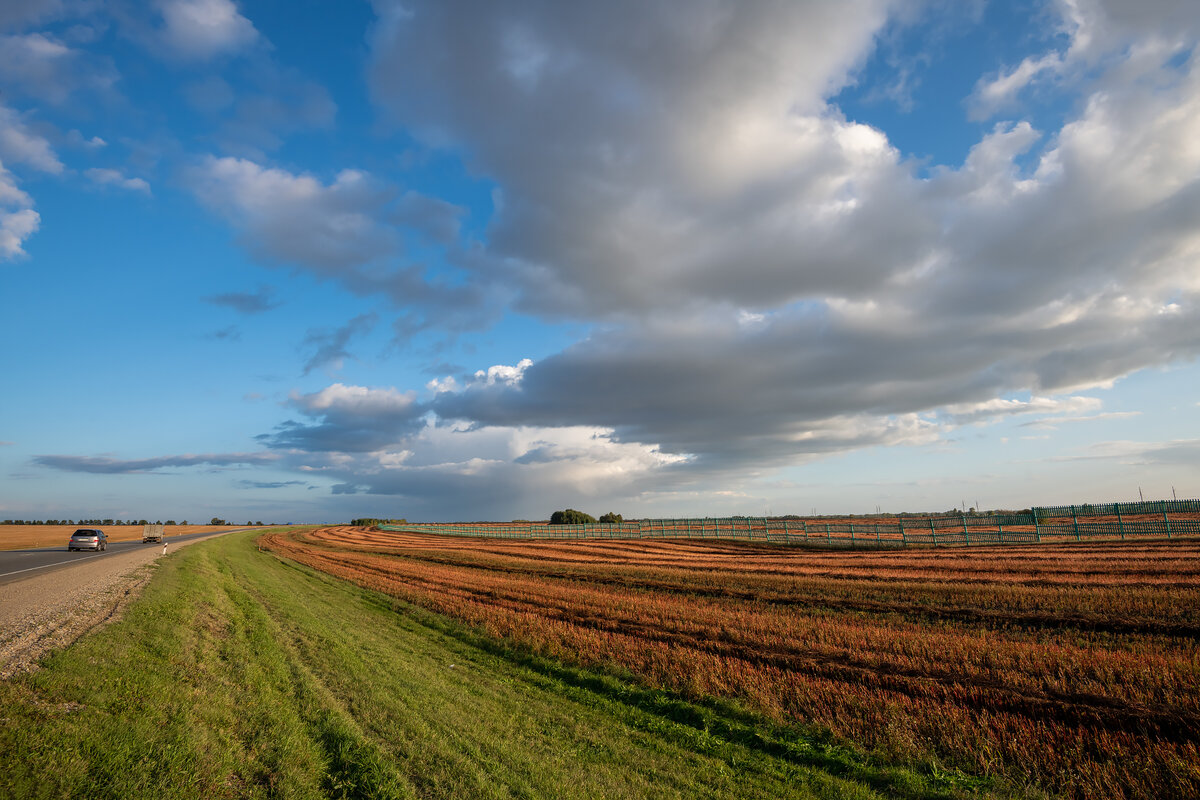 Мой кадр осени 2021 года. На Алтае убранные поля создают особое настроение...