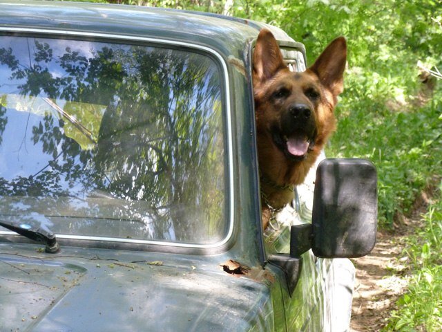 Стоит мне выйти, сразу занимает мое место)))