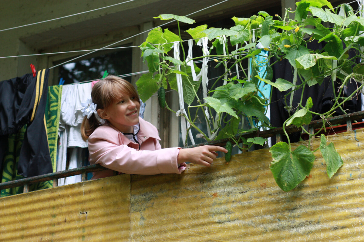 Балконы в обычных "хрущевках", которые скоро планируют снести