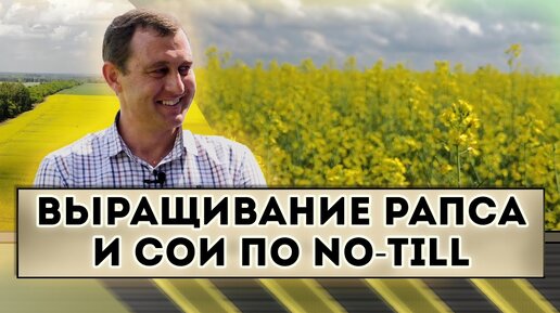 Бизнес план по выращиванию рапса