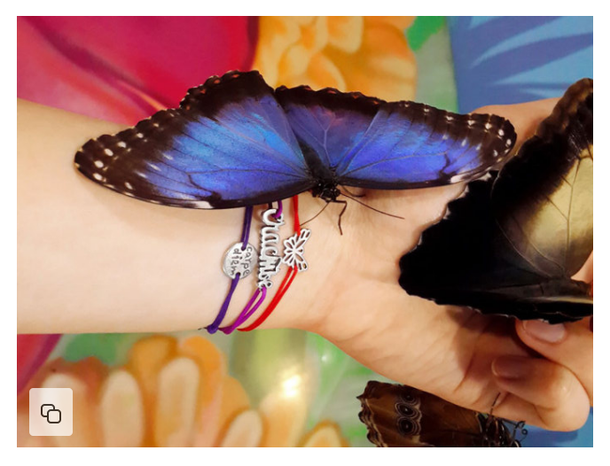 Фото со страниц каталога "Amorem" на Wildberries.