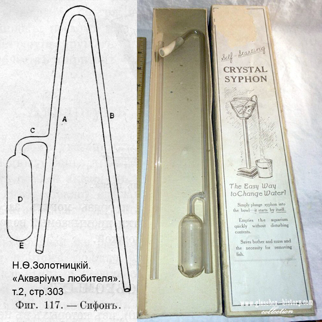 История аквариумистики. Старинный автоматический сифон | Аквариумы, рыбки и  все для них | Дзен