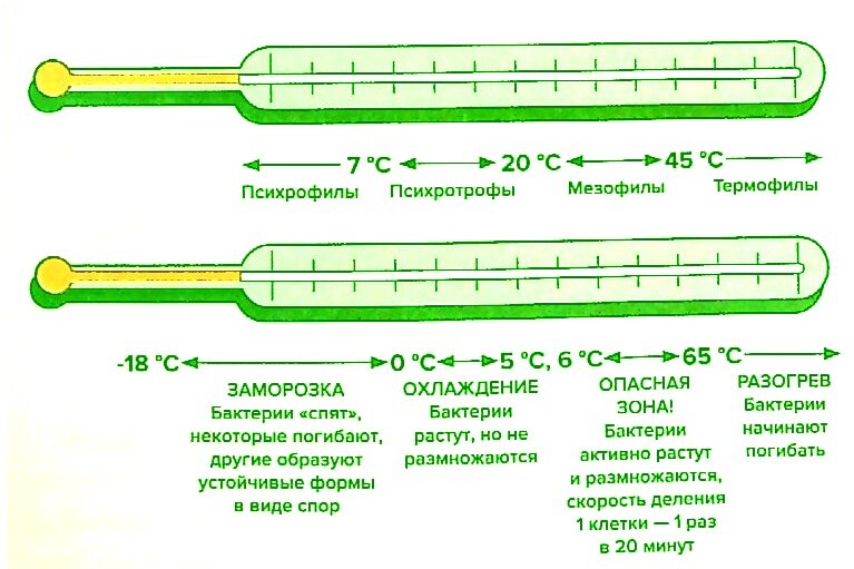 Таблица процесса