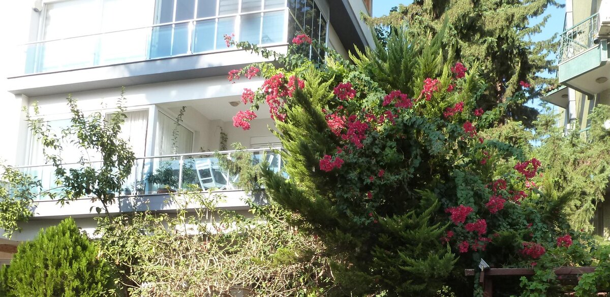 Фото из личного архива