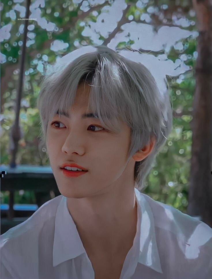 Яндекс.Картинки 