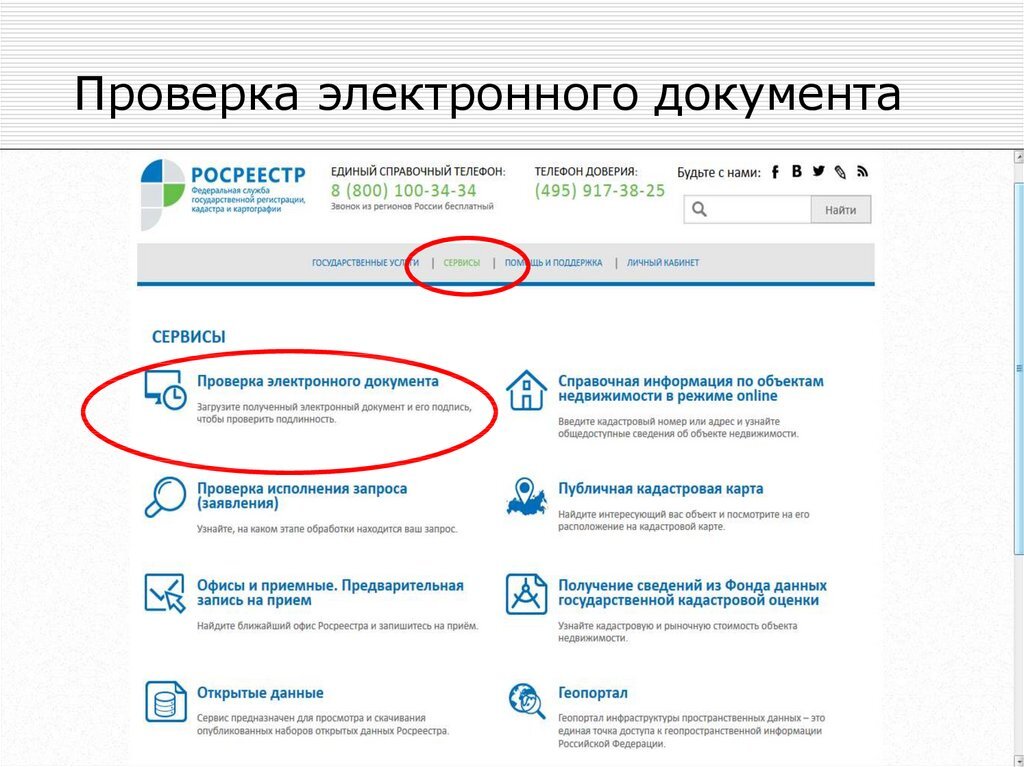 фото Яндекс