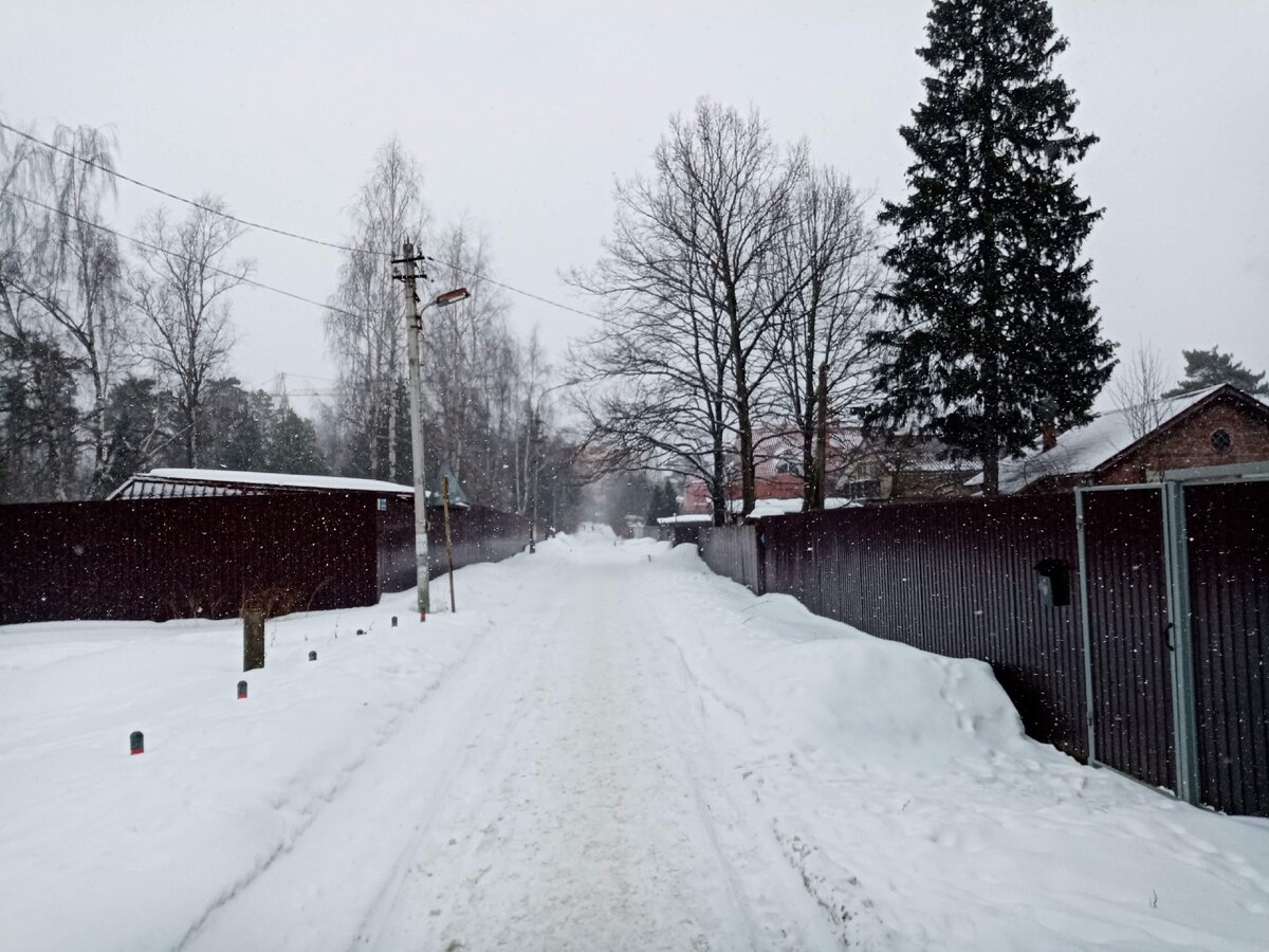 Заметает зима (зачеркнуто) весна, заметает