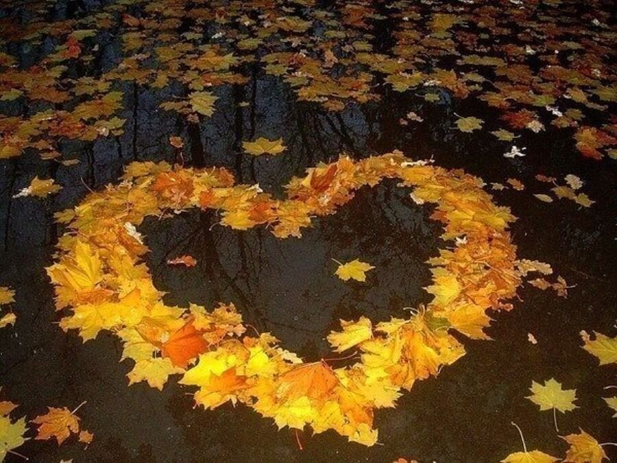 (фото из интернета)