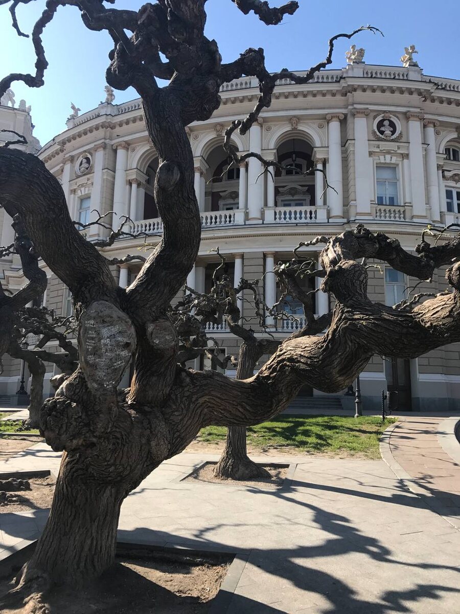 Фото из личного архива