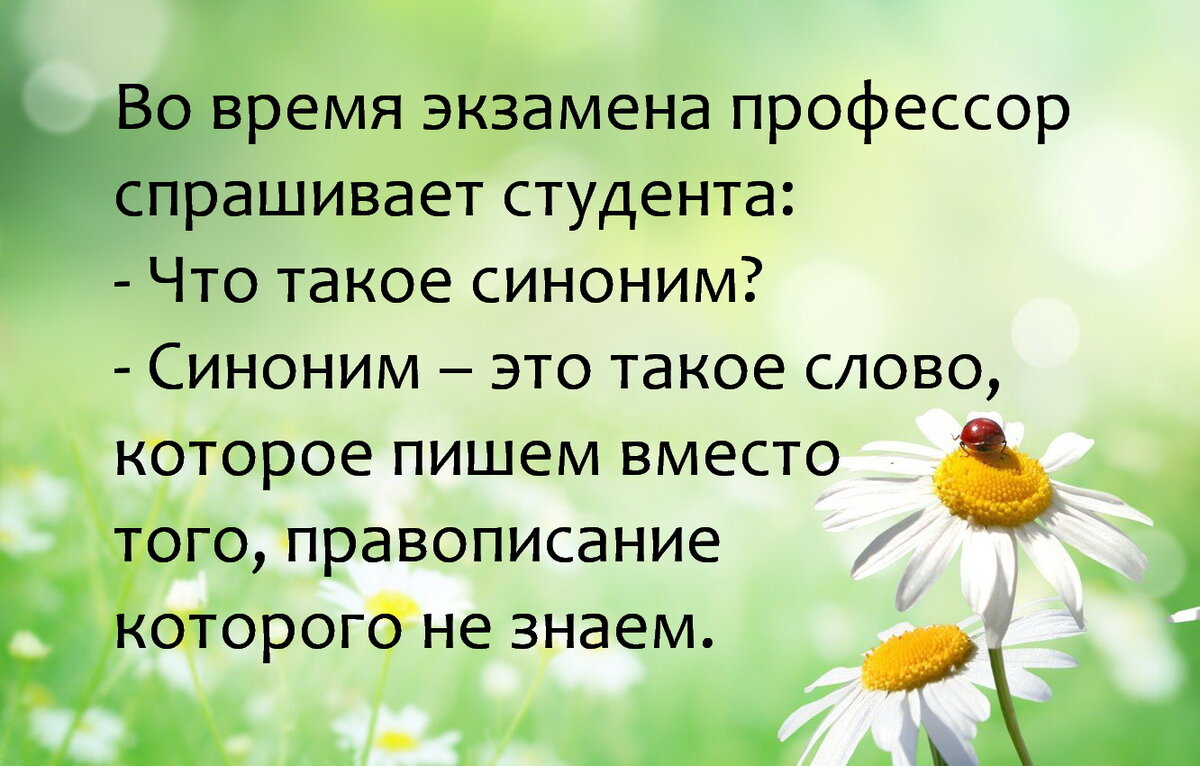 Китайскую студентку убили перед вебкамерой на глазах у ее любимого | Репортер UA