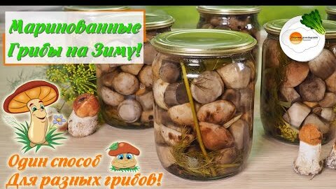 Маринованные Грибы на Зиму — Универсальный Рецепт (Pickled Mushrooms for the Winter)