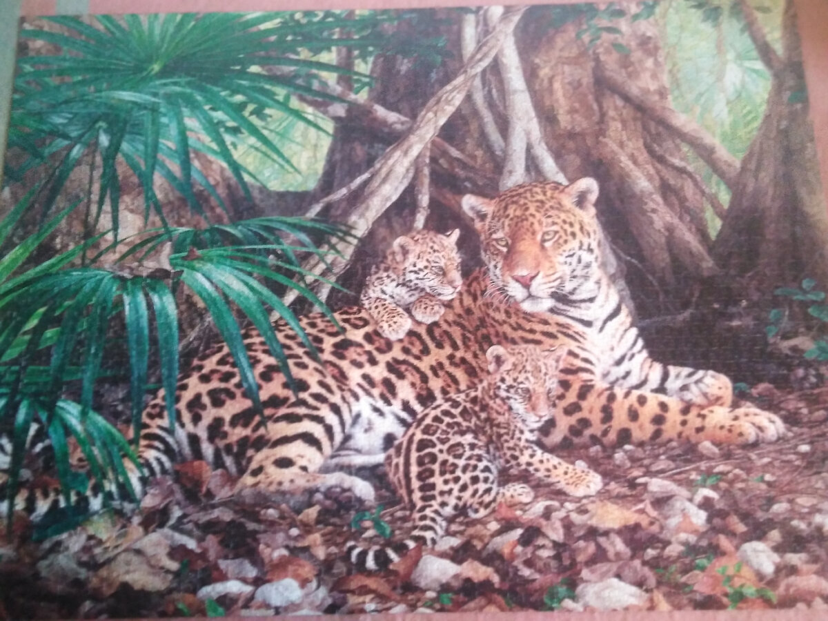 собранная картинка 