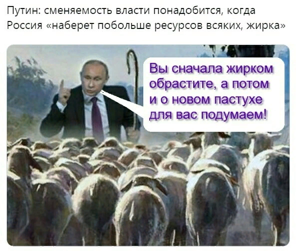 яндекс картинки