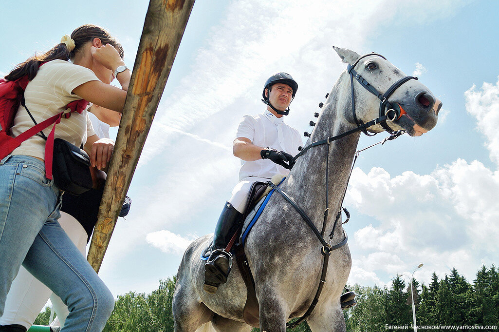 Уровни в конном спорте. Конный спорт Битцевский парк. Битца конные прогулки. Конный клуб Битца официальный сайт. Евгений ЧЕЗ выставка.