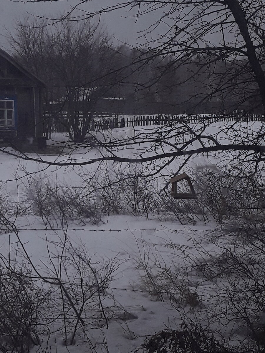 Ураган продолжается. Фото автора. 