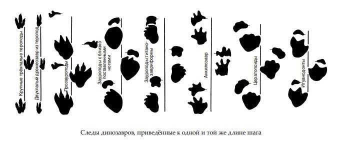 Определитель картинок по изображению