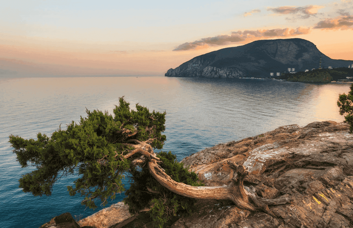 Мыс плато. Мыс Плака Алушта. Мыс Плака Крым Алушта. Утес мыс Плака Крым. Партенит мыс Плака.