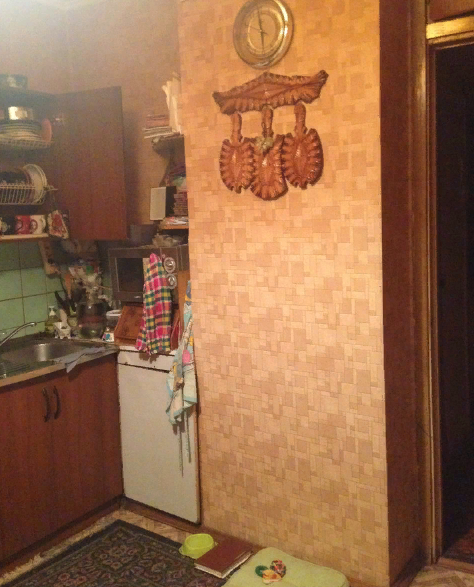 48 фото П-образной кухни Спутник Стиль в Москве