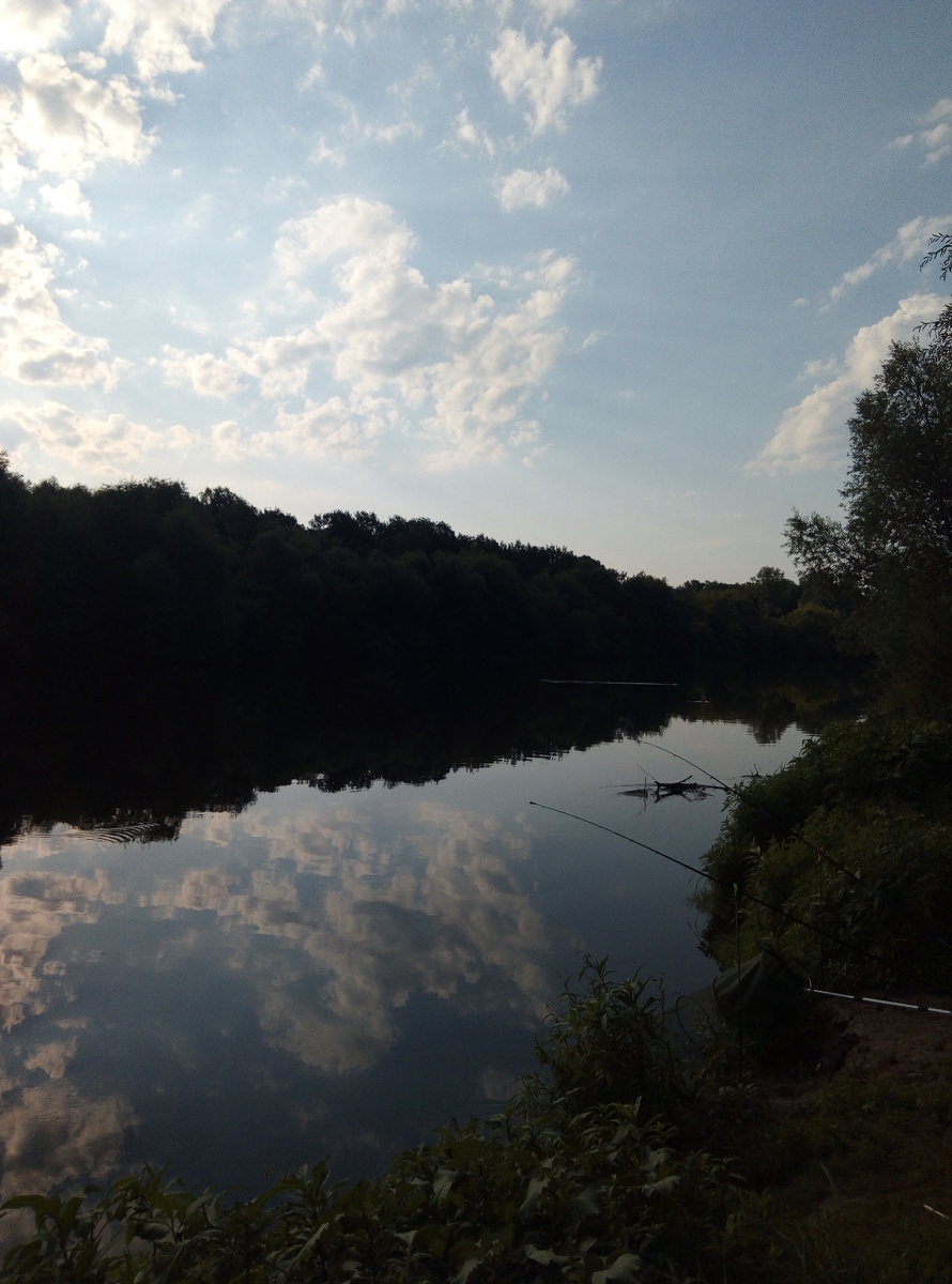 Сура в районе Лунино